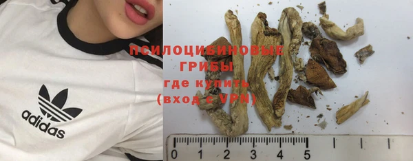 прущая мука Белокуриха