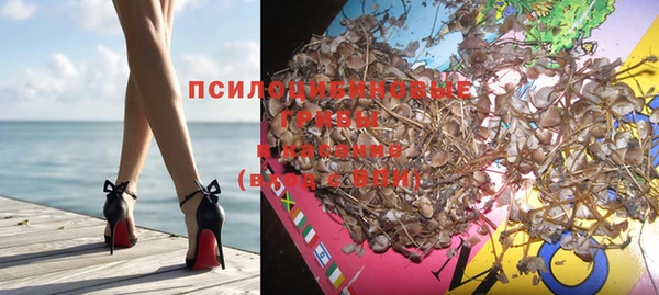мяу мяу мука Богданович