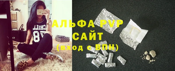 индика Богородск