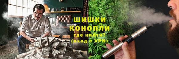 индика Богородск