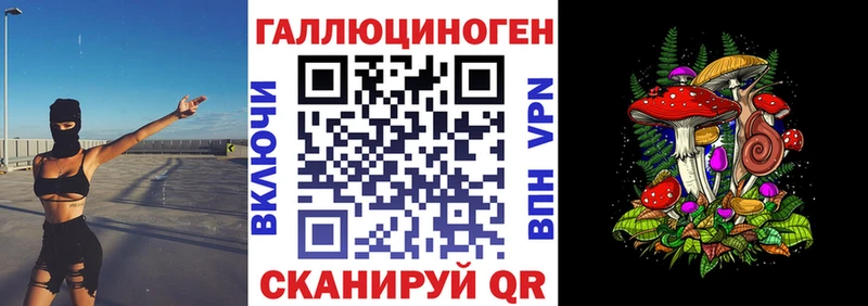 Псилоцибиновые грибы мицелий  наркошоп  Котельники 