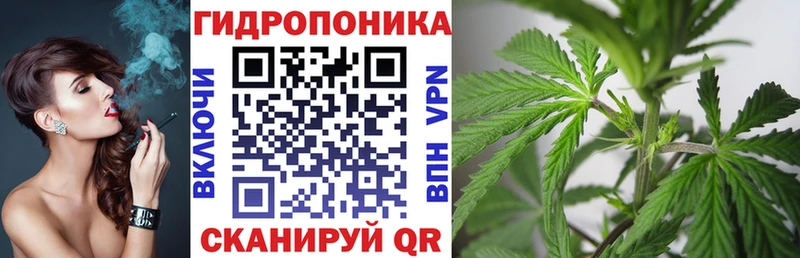 Каннабис OG Kush Котельники